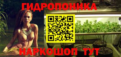 эйфоретик Моздок