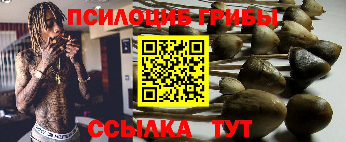 Белебей  Галлюциногенные грибы Psilocybine cubensis  Вход с VPN 
